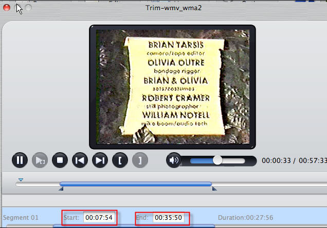 Import wmv to itunes with wmv video converter