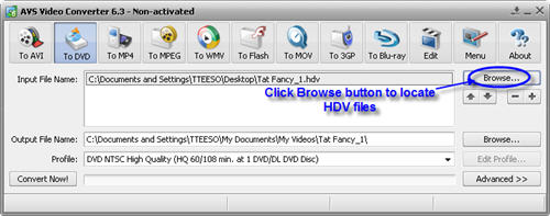 HDV to DVD & Blu-Ray Converter