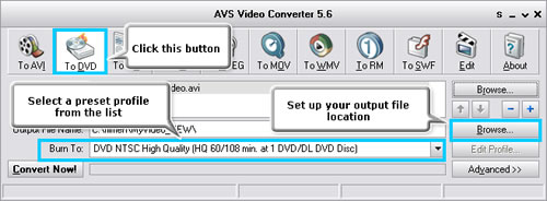 mini DV to DVD Burner