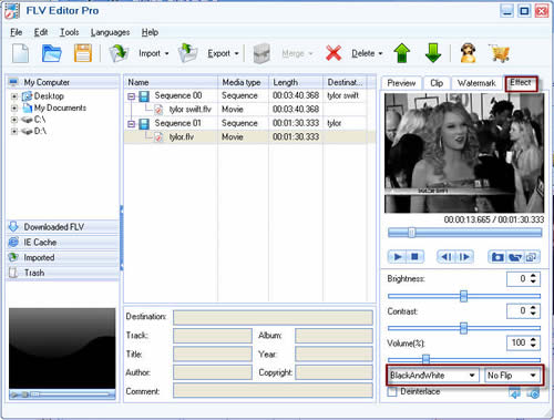 Video Editor For Flv Files
